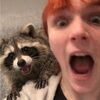 loganorlistit